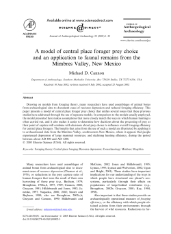 A model of central place forager prey choice and an application to