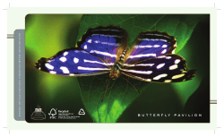 2008 Annual Report - Butterfly Pavilion
