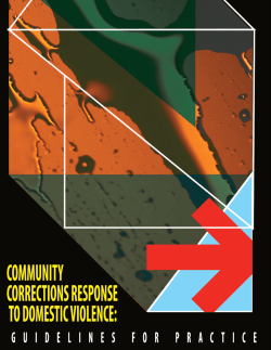 Community Corrections` Response to Domestic Violence