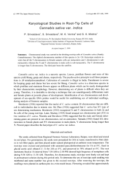Karyological Studies in Root-Tip Cells of Cannabis sativa var. indica