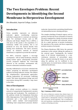 The Two Envelopes Problem: Recent Developments in Identifying
