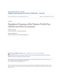 Population Dynamics of the Western Prickly Pear, Opuntia