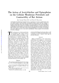 The Action of Acetylcholine and Epinephrine on the Cellular