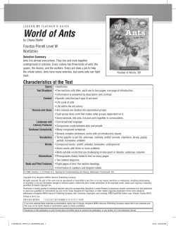 World of Ants - Houghton Mifflin Harcourt