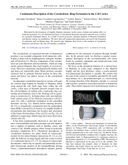Continuum Description of the Cytoskeleton: Ring Formation in the