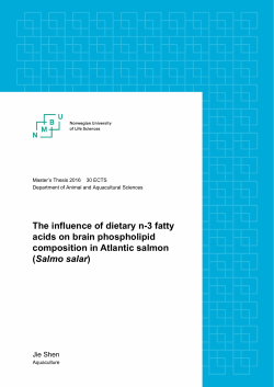 The influence of dietary n-3 fatty acids on brain phospholipid