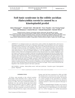 Soft tunic syndrome in the edible ascidian Halocynthia roretzi is