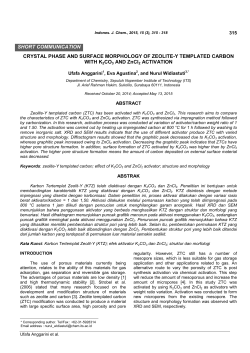 CRYSTAL PHASE AND SURFACE MORPHOLOGY OF ZEOLITE
