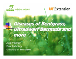 Diseases of Bentgrass, Ultradwarf Bermuda and more