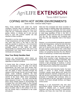 Coping with Hot Work Environments