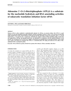 Adenosine 5 -O-(3-thio)triphosphate (ATP S) is a substrate for the