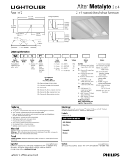 Alter Metalyte 2 x 4