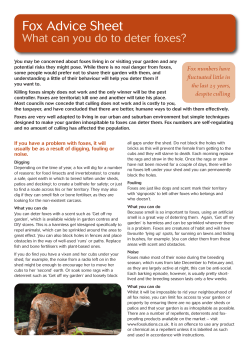 Fox Advice Sheet
