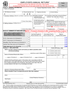 EMPLOYER`S ANNUAL RETURN* S02