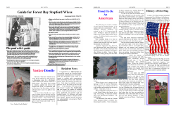 American Guide for Forest Bay Stepford Wives Yankee Doodle