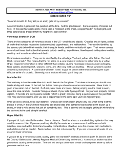 Snake Bites 101 - 1-Goodwin HOA Sites > Home