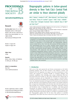 Biogeographic patterns in below-ground diversity in New York City`s