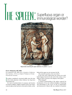 The spleen: Superfluous organ or