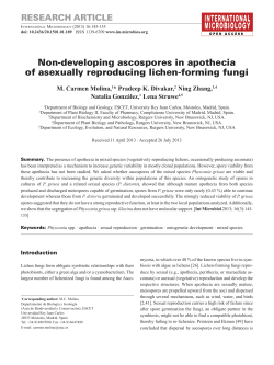 Non-developing ascospores in apothecia of asexually reproducing