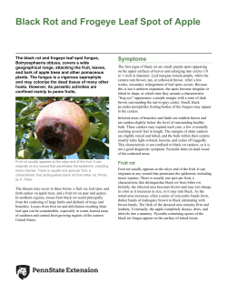 Black Rot and Frogeye Leaf Spot of Apple