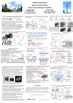 Koops IVNC 14 1 07 poster final