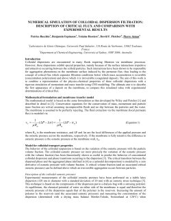 PDF (Author`s version)