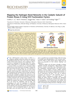 Mapping the Hydrogen Bond Networks in the