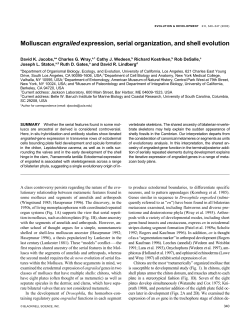 Molluscan engrailed expression, serial organization