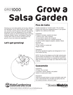 Pico de Gallo Guacamole Let`s get growing!
