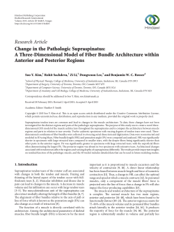 Change in the Pathologic Supraspinatus: A Three