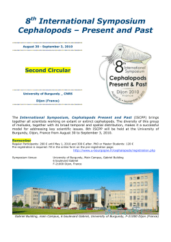 8 International Symposium Cephalopods