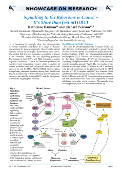 Signalling to the Ribosome in Cancer