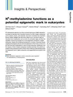 N6-methyladenine functions as a potential epigenetic mark in
