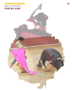 bullfights