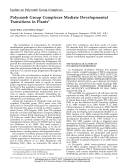 Polycomb Group Complexes Mediate