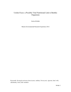 Urchin Feces: a Possibly Vital Nutritional Link to Benthic Organisms