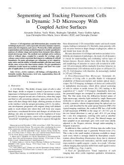 Segmenting and Tracking Fluorescent Cells in