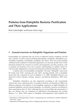 Proteins from Halophilic Bacteria: Purification and