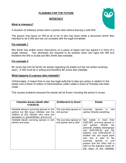 Intestacy - Jackson Canter