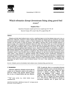 Which tributaries disrupt downstream fining along gravel