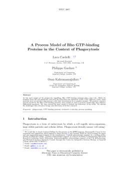 A Process Model of Rho GTP-binding Proteins in the