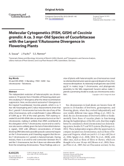 Molecular Cytogenetics (FISH, GISH) of Coccinia grandis: A ca. 3