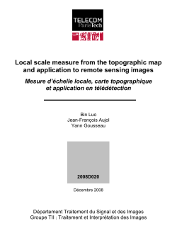 Local scale measure from the topographic map and application to