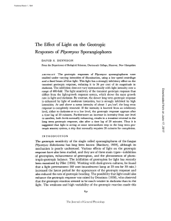 The Effect Responses of Light on the Geotropic of Phycomyces