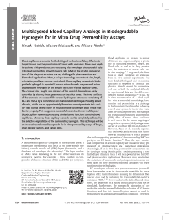 Multilayered Blood Capillary Analogs in Biodegradable Hydrogels