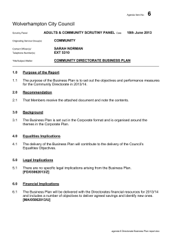 Item 6 - Community Directorate Business Plan 2013/14