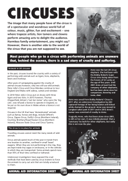 Circus factsheet (max 30 copies) (562.1KB pdf)