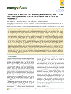 Combustion of Biosolids in a Bubbling Fluidized