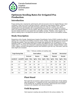 Optimum Seeding Rates for Irrigated Pea Production (PDF Version