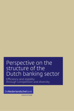Perspective on the structure of the Dutch banking sector